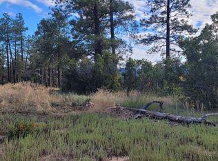 997 Crooked Rd, Pagosa Springs, CO 81147