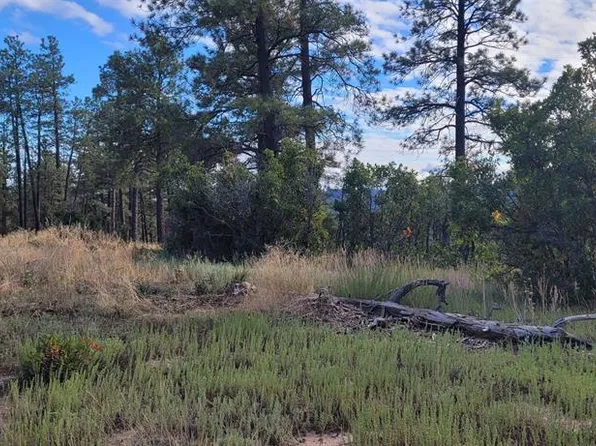 997 Crooked Road, Pagosa Springs, CO 81147