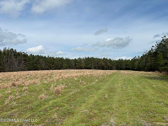 3rd image of Robinson Thompson Rd