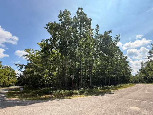 V/l Steep Hollow Ln, Gaylord, MI 49735