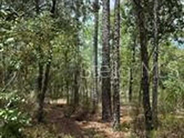 1 NE 110th Ave, Williston, FL 32696