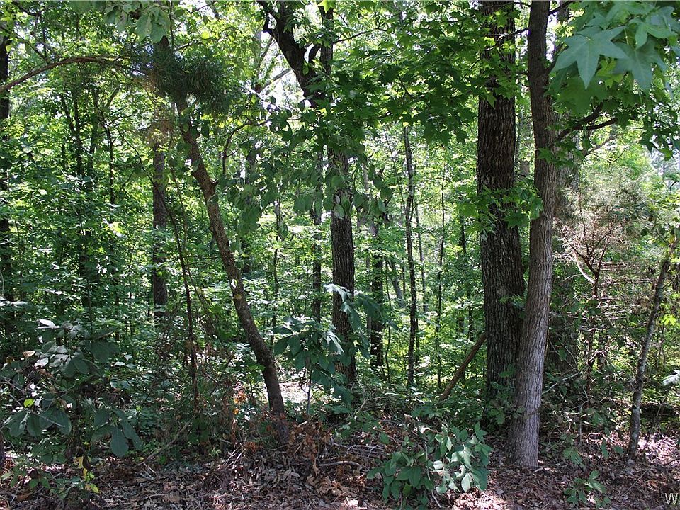 1st image of 0 Oak Forest Dr