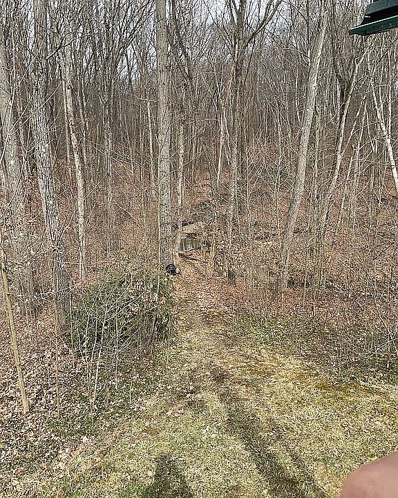 “ Clara Root Creek “ 