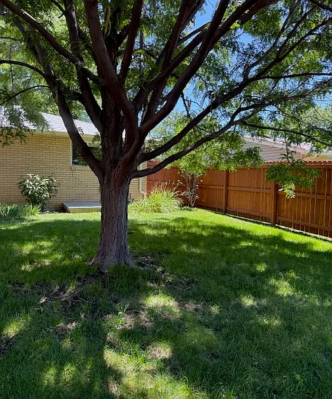 1421 Tulip St — Photo 14