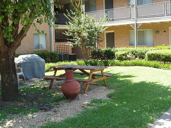 Backyard with gas grill