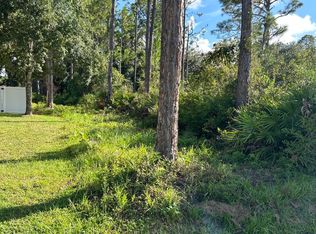 19 Slumber Meadow Trl, Palm Coast, FL 32164