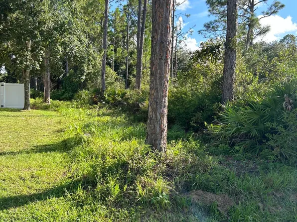 19 Slumber Meadow Trl, Palm Coast, FL 32164