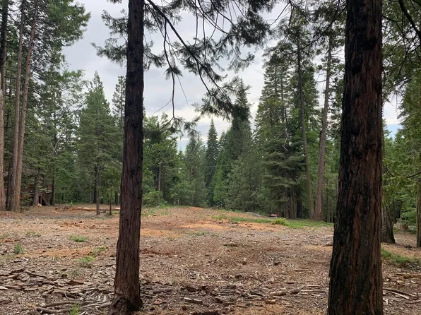 1302 Topanga Ln, Arnold, CA 95223