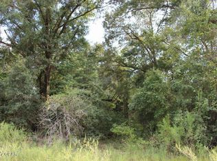 6293 Wolf Pond Rd, Bascom, FL 32423