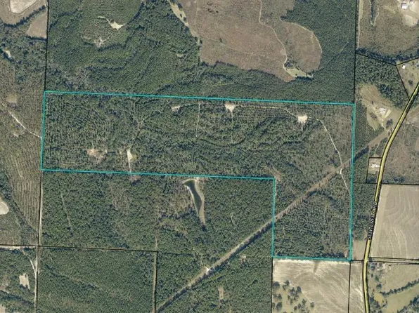 0 Senterfitt Rd, Laurel Hill, FL 32567