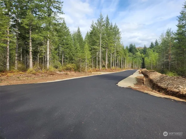 0 Lot 5 Div 1 Raven Lane, Elma, WA 98541