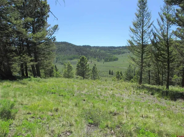 1021 Slumgullion Trail, Powderhorn, CO 81243