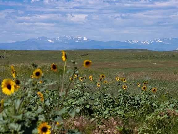 3rd image of 346 TBD County Road