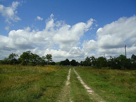Front of the home, the entry gate is located at the tree area.