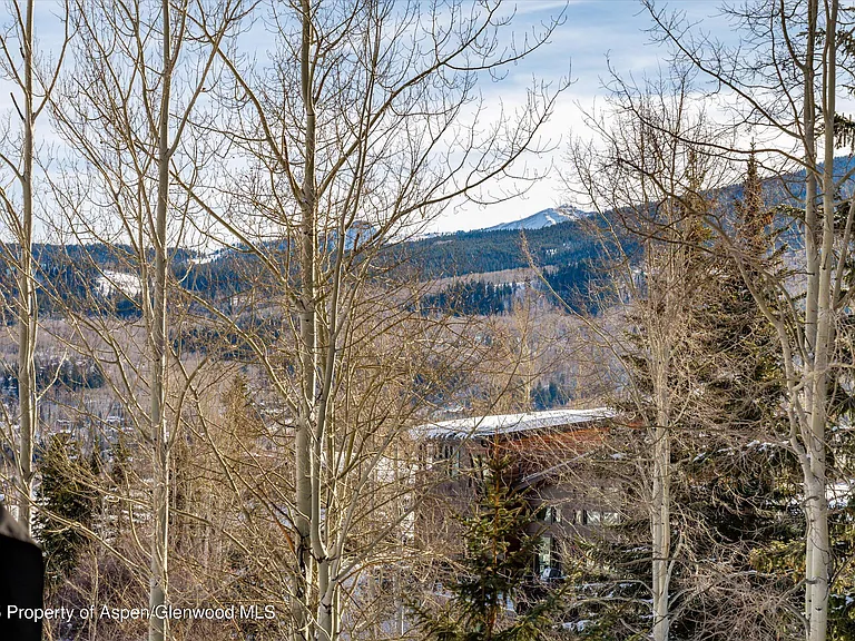 328 Oak Ridge Rd — Photo 28