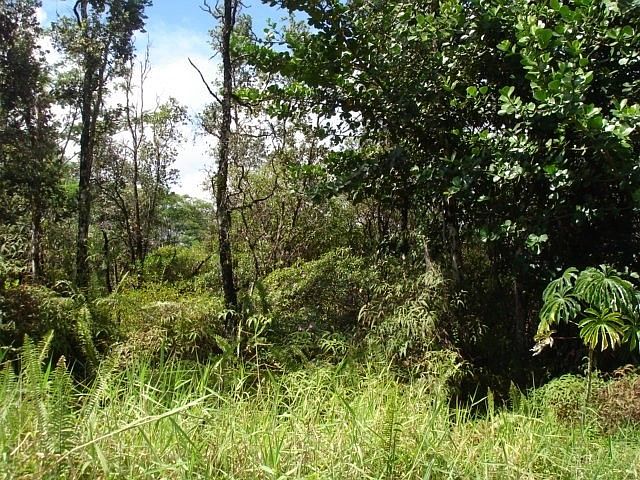 1st image of Kaloli Dr Lot 1736