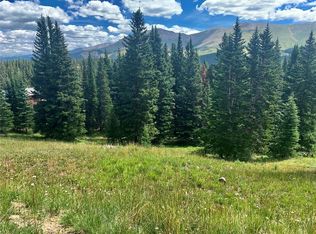 76 Robertson Ln, Breckenridge, CO 80424