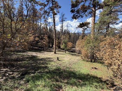 8890 Ula Trl, Beulah, CO, 81023