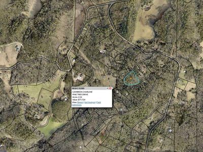 0 Pine Tree Dr #19, Blue Ridge, GA, 30513