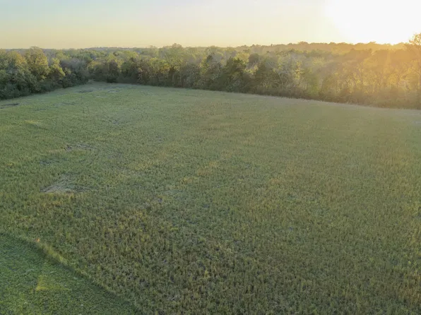 0 Cedar Grove Rd Lot 2, Chapel Hill, TN 37034