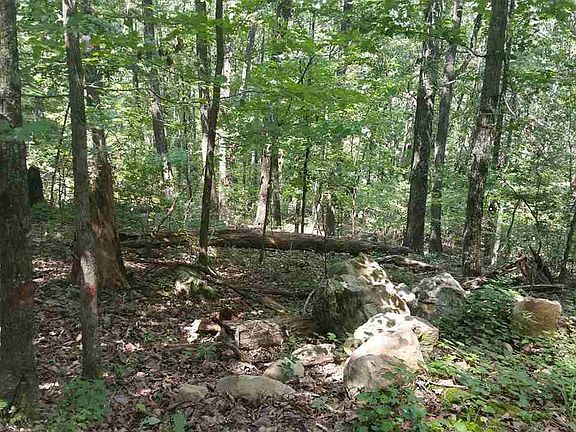 3rd image of 1028 Long Leaf Lake Dr