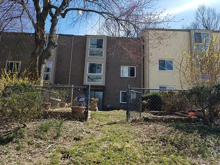 10 Rear Yard