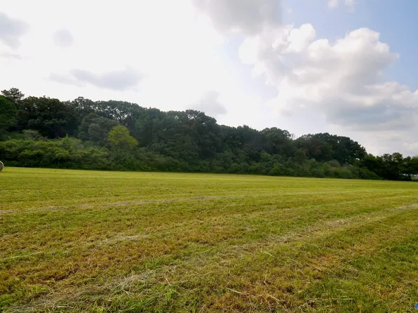 County Road 1549, Cullman, AL 35058