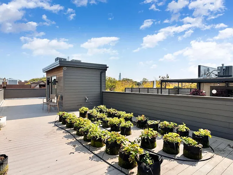 Terrace View