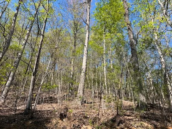 LOT 2-2B Grandview Dr, Hayesville, NC 28904