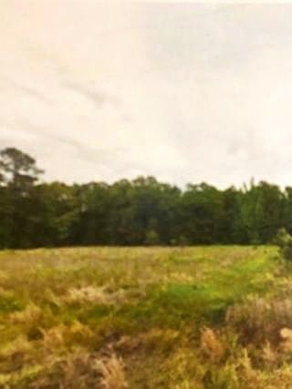 1st image of 0 Whittington Cutoff Rd