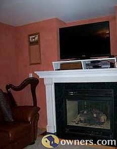 see thru fireplace for dinning and living a