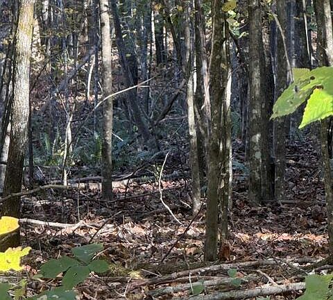 4th image of 2 Henson Rd