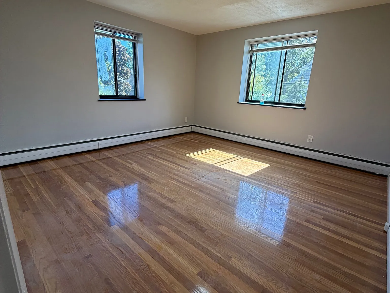 2 bed, 1.0 bath, $3,100 — Photo 4