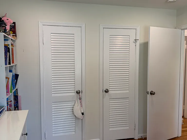 Bedroom 2, double closet