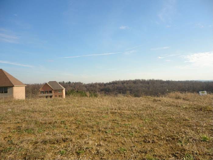 View from rear yard