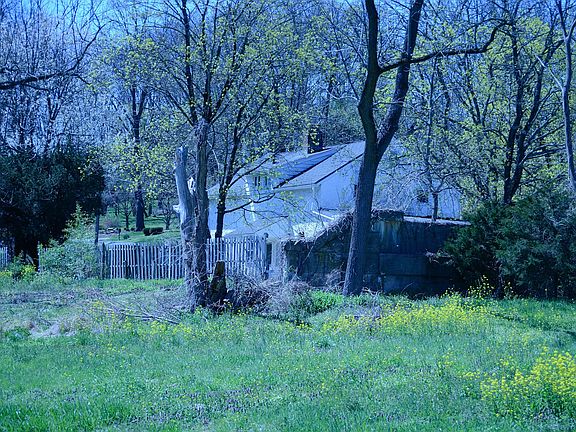 4th image of 1446 Village Ln