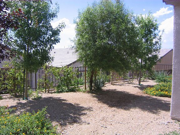 Mature landscaping in private yard