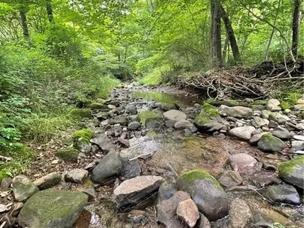 Greenlee Rd Lot 1A, Polk, PA 16342