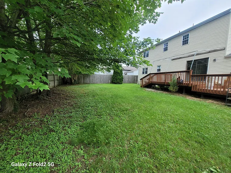 BACK YARD