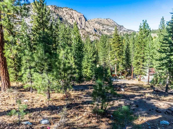 0 Piute Mono St, June Lake, CA 93529