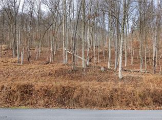 Vl Township Rd #166, Bloomingdale, OH