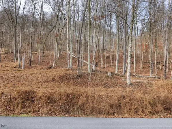 Vl Township Rd #166, Bloomingdale, OH 43910