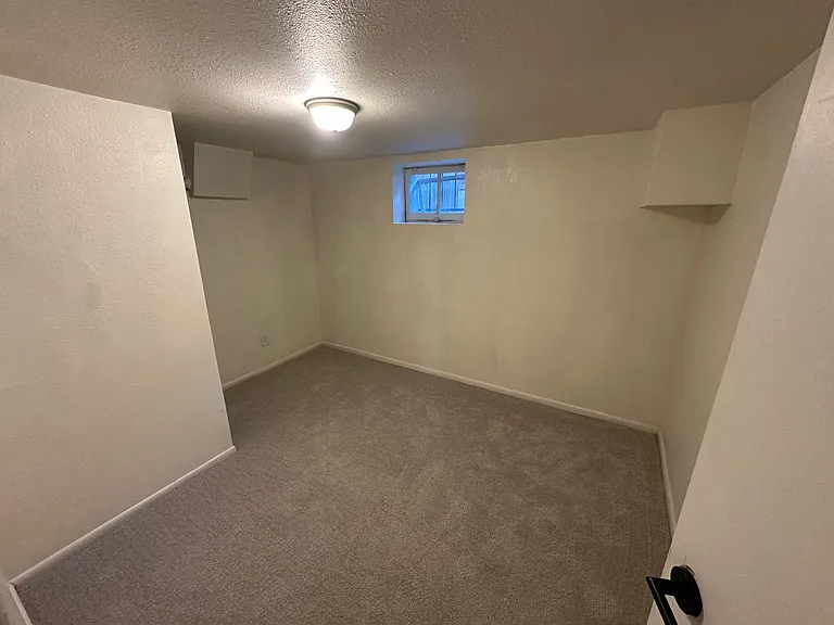 Bedroom 3- Basement