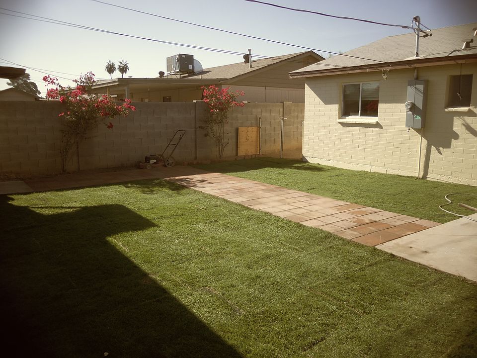 back yard