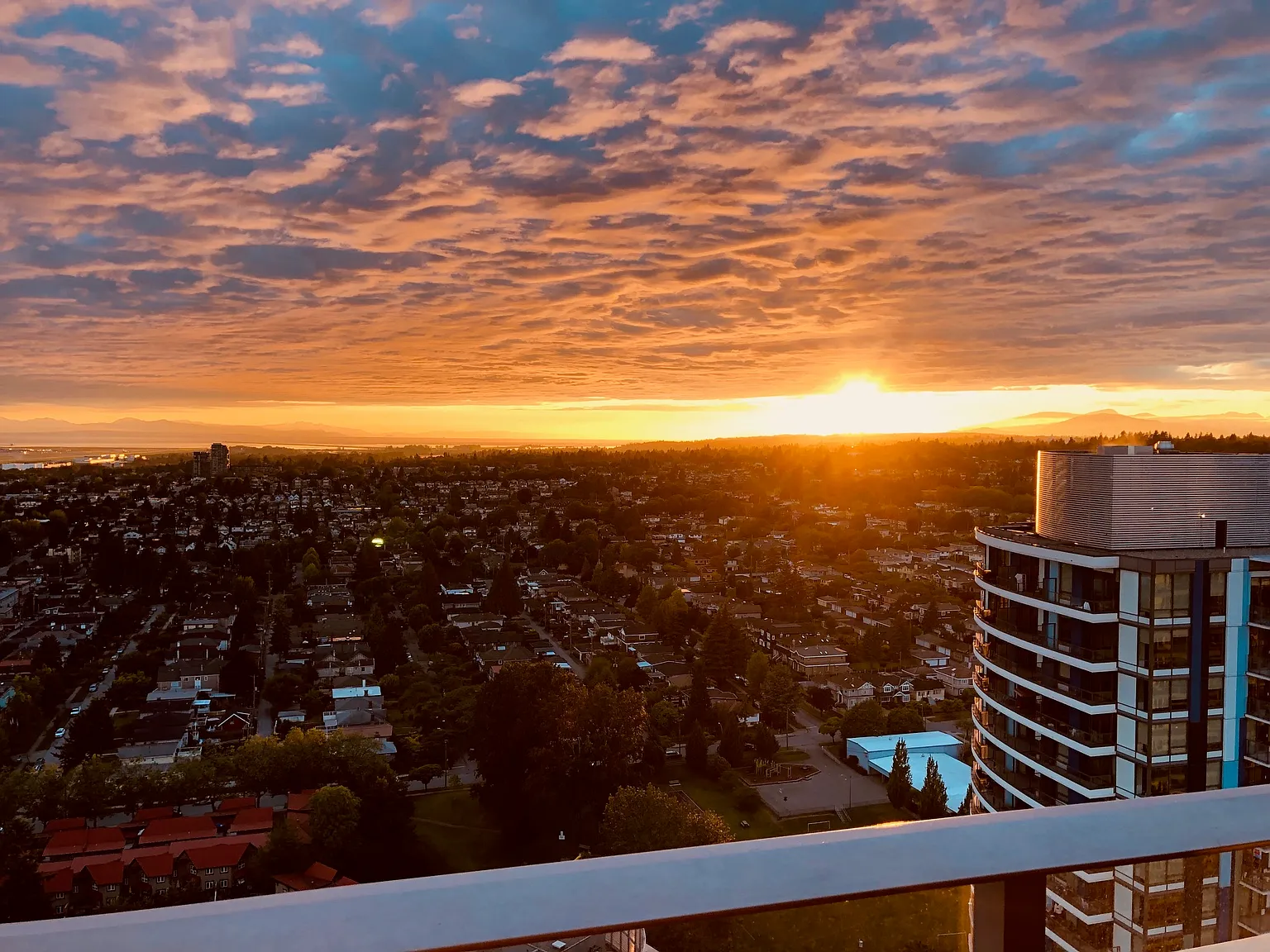 1 bed, 520 sqft, $2,375 — Photo 1