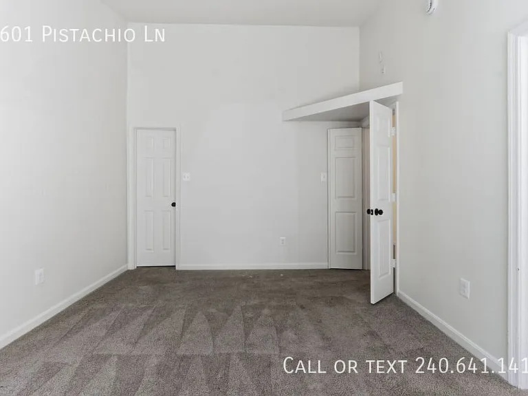 4601 Pistachio Ln — Photo 16