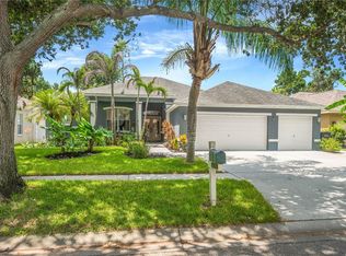 1128 Lumsden Trace Cir, Valrico, FL 33594