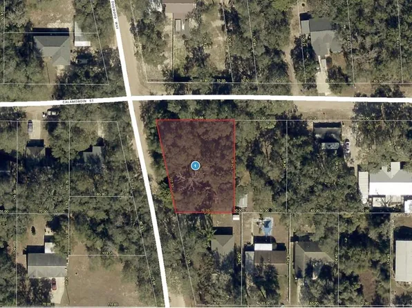 DOGWOOD WAY LOT 1, LADY LAKE, FL 32159