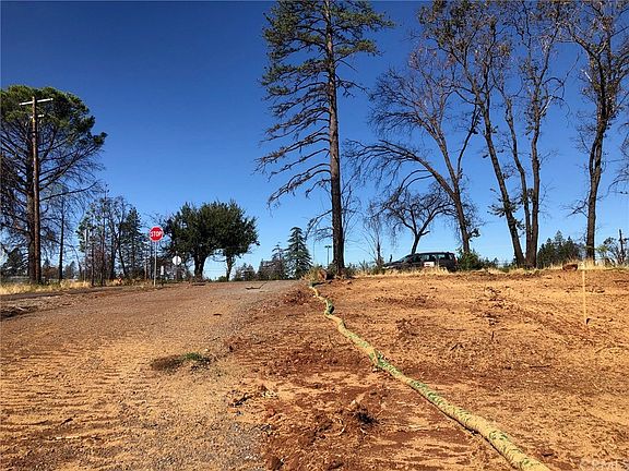 5th image of 5734 Black Olive Dr