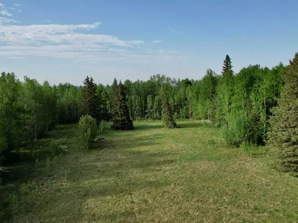 Deerfoot Rd, Rural Woodlands County, AB T7S 1N3